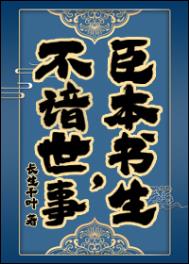 臣本书生不谙世事小说